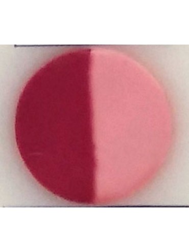 Boja crvena borovnica 200g